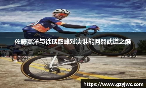 佐藤嘉洋与徐琰巅峰对决谁能问鼎武道之巅